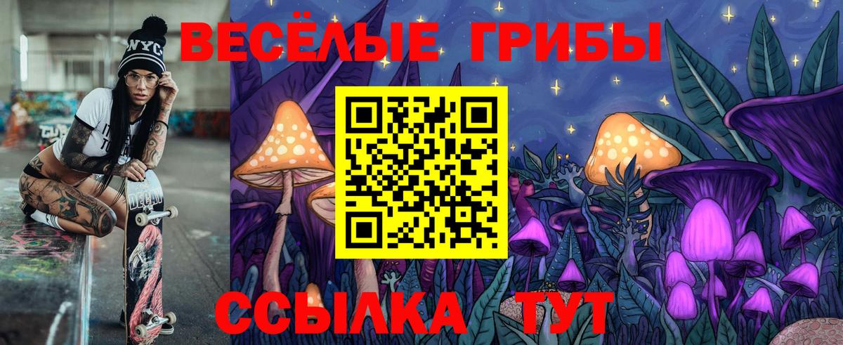 Верхняя Салда  Псилоцибиновые грибы Psilocybe  Вход с VPN 